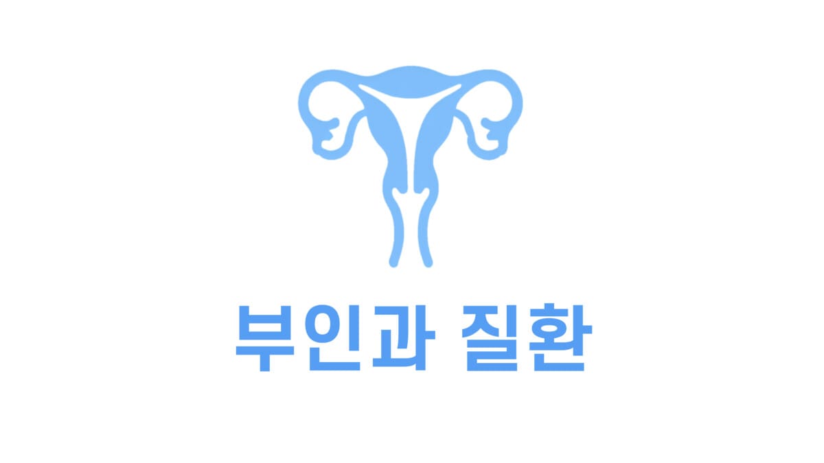부인과 질환 표지